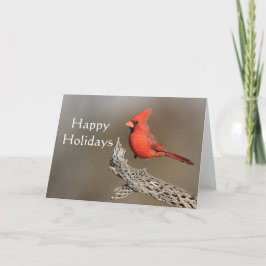 Cartão De Festividades Cardinal em uma costela de cholla, Boas Festas