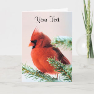 Cartão De Festividades Cardinal in Snow Dusted Fir