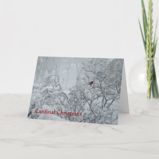 Cartão De Festividades Cardinal Natal (Frente)