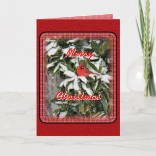 Cartão De Festividades Cardinal on Snowy Magnolia- customize