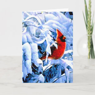 Cartão De Festividades Cardinal Vermelho na Neve de Inverno