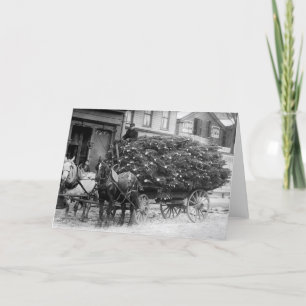 Cartão De Festividades Carga de Árvores de Natal, 1910