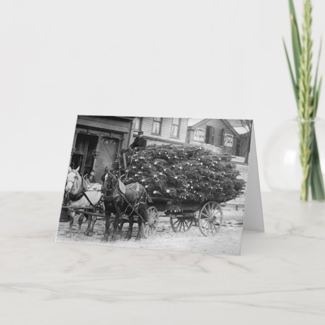 Cartão De Festividades Carga de Árvores de Natal, 1910 (Frente)