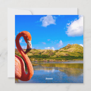 Cartão De Festividades Caribe o flamingo em gatinhos de Rua