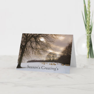 Cartão De Festividades Carneiros