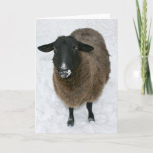 Cartão De Festividades Carneiros na neve
