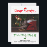 Cartão De Festividades Caros Papais noeis, O Cachorro Fez Uma Foto De Pet<br><div class="desc">Caros Papais noeis,  O Cachorro Conseguiu. Um cartão de Natal engraçado. Modelo de foto via Pixabay licenciado sob CC0 e deve ser substituído por sua própria foto</div>