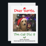 Cartão De Festividades Caros Papais noeis, O Gato Fez Uma Foto De Pet Eng<br><div class="desc">Caros Papais noeis,  O Gato Conseguiu. Um cartão de Natal engraçado. Modelo de foto via Pixabay licenciado sob CC0 e deve ser substituído por sua própria foto</div>