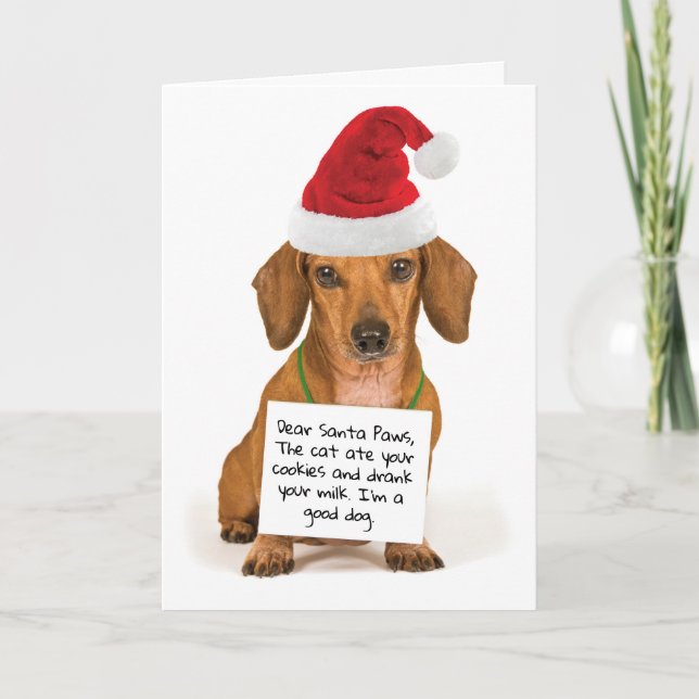Cartão De Festividades Caros Papais noeis, patas bonitas, Natal Dachshund (Frente)