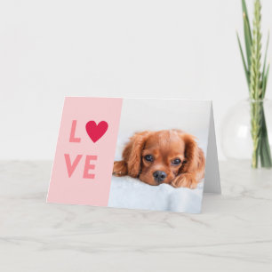 Cartão De Festividades Carta de Amor Personalizada do Cachorro