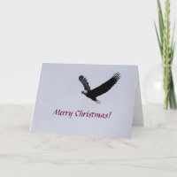 Cartão/Águia de Natal em Voo
