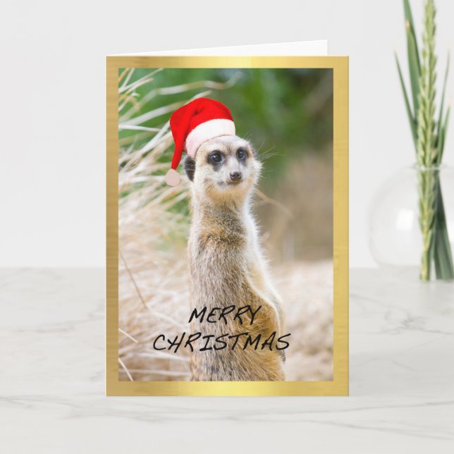 Cartão De Festividades "Cartão de Natal do design de Meerkat bonito" (Frente)