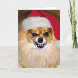Cartão De Festividades "Cartão do papai noel de Pomeranian do Natal