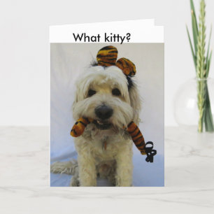 Cartão De Festividades cartão, humor, cão come gato, cão culpado,