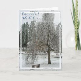 Cartão De Festividades Cartão, Natal, Ano Novo - Feriados Pacíficos