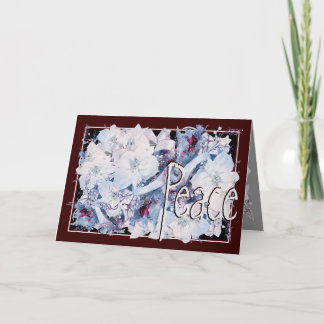 Cartão De Festividades Cartão, Natal, Ano Novo, Férias - Poinsettia