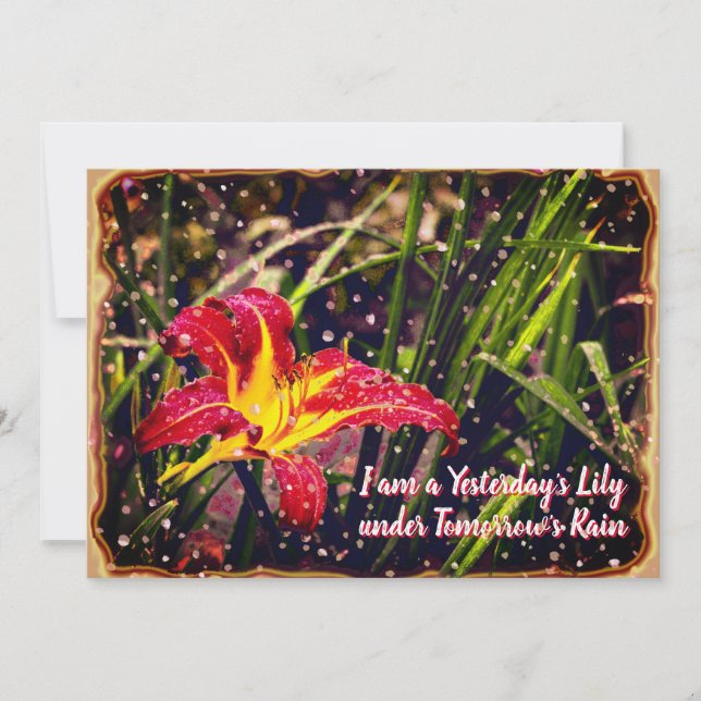 Cartão De Festividades Cartão-postal Ontem Lily na Chuva de Amanhã (Frente)