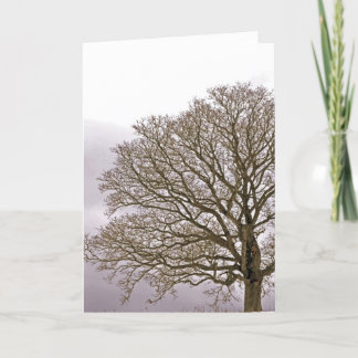 Cartão De Festividades Carvalho no inverno 1