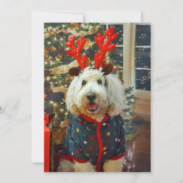 Cartão De Festividades Casa de Goldendoodle para os feriados