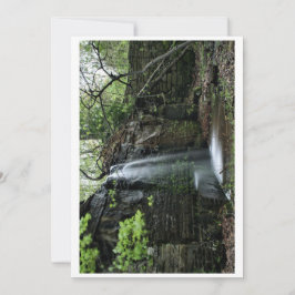 Cartão De Festividades Cascata de Primavera oculta