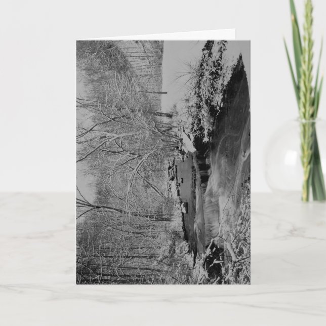 Cartão De Festividades Cascata em um Dia de Neve (Frente)