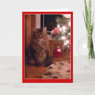 Cartão De Festividades Cat and Christmas tree ornaments greeting card