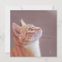 Cartão De Festividades Cat Greeting Card. Ginger Kitty