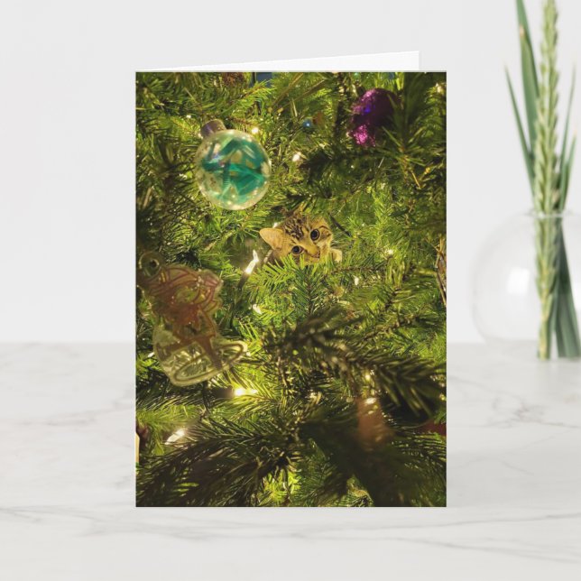Cartão De Festividades Cat In The Christmas Tree Christmas Card (Frente)