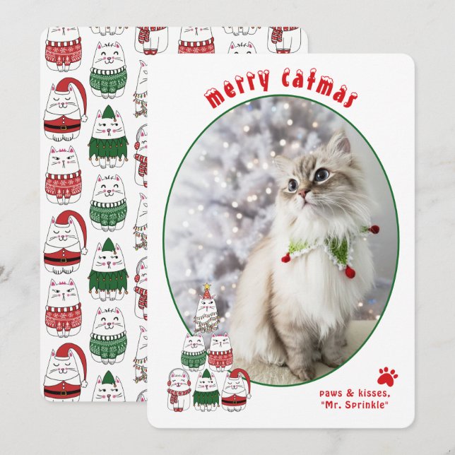 Cartão De Festividades Cat Lover Cute Festive Cat Photo Christmas (Frente/Verso)