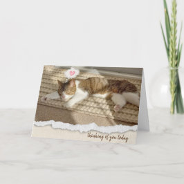Cartão De Festividades Cat Napping no sol pensando em você