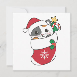 Cartão De Festividades Cat Natal Neve Inverno Animais de inverno Carro Fe