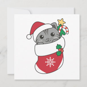 Cartão De Festividades Cat Natal Neve Inverno Animais de inverno Carro Fe