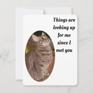Cartão De Festividades Cat Photo Things Looking Up Purrfect Valentine