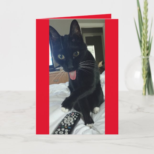 Cartão De Festividades Cat toma controle remoto para Dia de os namorados  (Frente)
