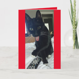Cartão De Festividades Cat toma controle remoto para Dia de os namorados