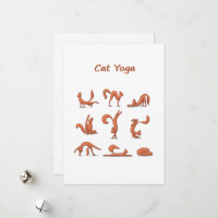 Cat Yoga