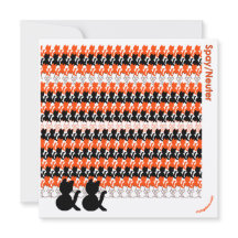 "Catcetera: Spay/Neuter" Salve as Aves