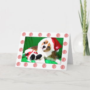 Cartão De Festividades Cavaleiro de Natal Festivo King Charles Puppy Card