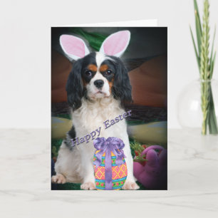 Cartão De Festividades Cavalier King Charles Easter Egg Hunt
