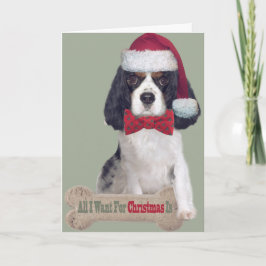 Cartão De Festividades Cavalier King Charles Kisses Para O Natal