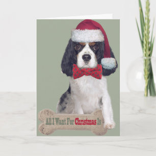 Cartão De Festividades Cavalier King Charles Kisses Para O Natal