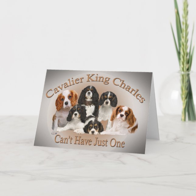 Cartão De Festividades Cavalier King Charles não pode ter apenas um prese (Frente)