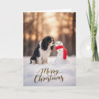 Cavalier King Charles Papai Noel de Neve