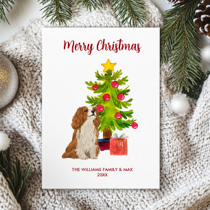 Cartão De Festividades Cavalier King Charles Spaniel Cão Natal
