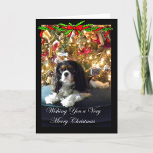 Cartão De Festividades Cavalier King Charles Spaniel Christmas Card