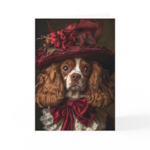 Cavalier King Charles Spaniel Natal