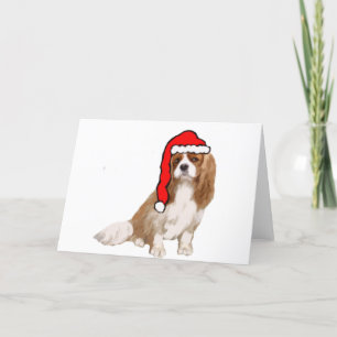 Cartão De Festividades Cavalier King Charles Spaniel Natal