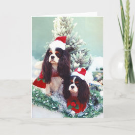 Cartão De Festividades Cavaliers no Natal