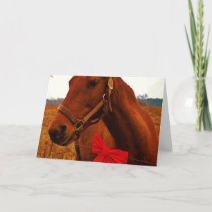 Cartão De Festividades Cavalo com Laço Vermelho