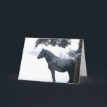 Cartão De Festividades Cavalo da neve<br><div class="desc">Todos os rendimentos irã0 para a cirurgia dos medos</div>